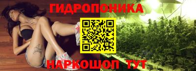 apvp Краснодар