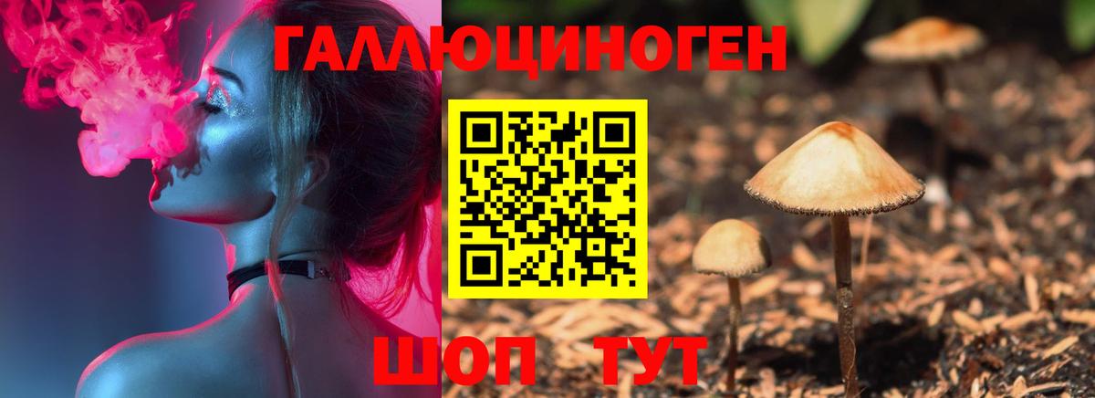 Псилоцибиновые грибы MAGIC MUSHROOMS Каменск-Уральский